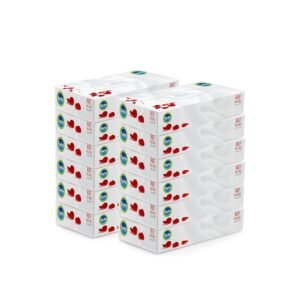 Farla Medical Facial Tissues - Pack of 12 Tissue Boxes, Bulk Buy 2-ply, 1200 Count (12 Pack of 100), White